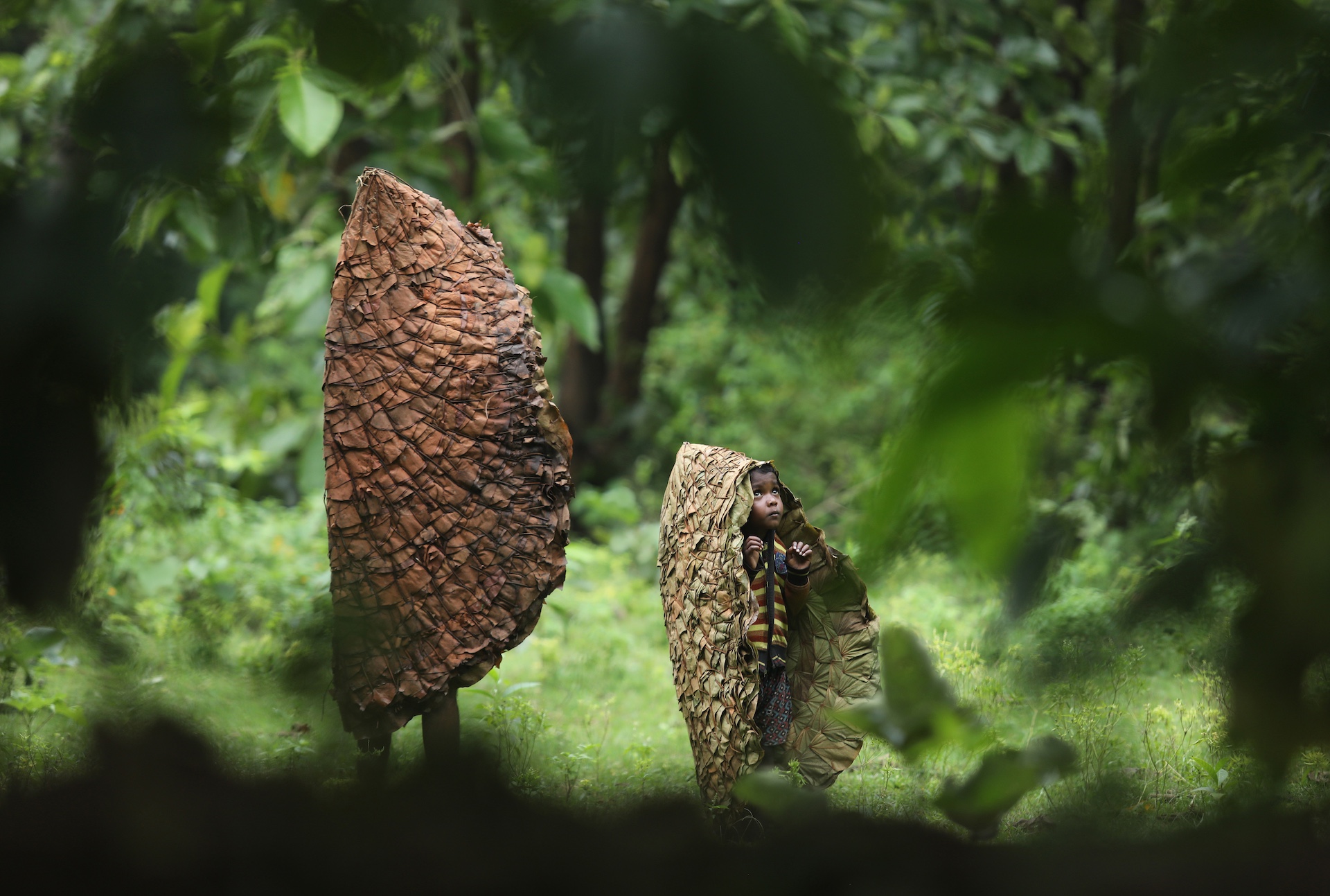 PEOPLE CATEGORY WINNER 2024 - Somenath Mukhopadhyay - Leaf Life - Purulia, West Bengal, India