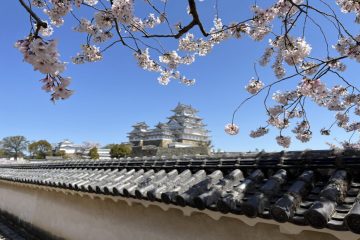 IMG_8913-900x675 copy