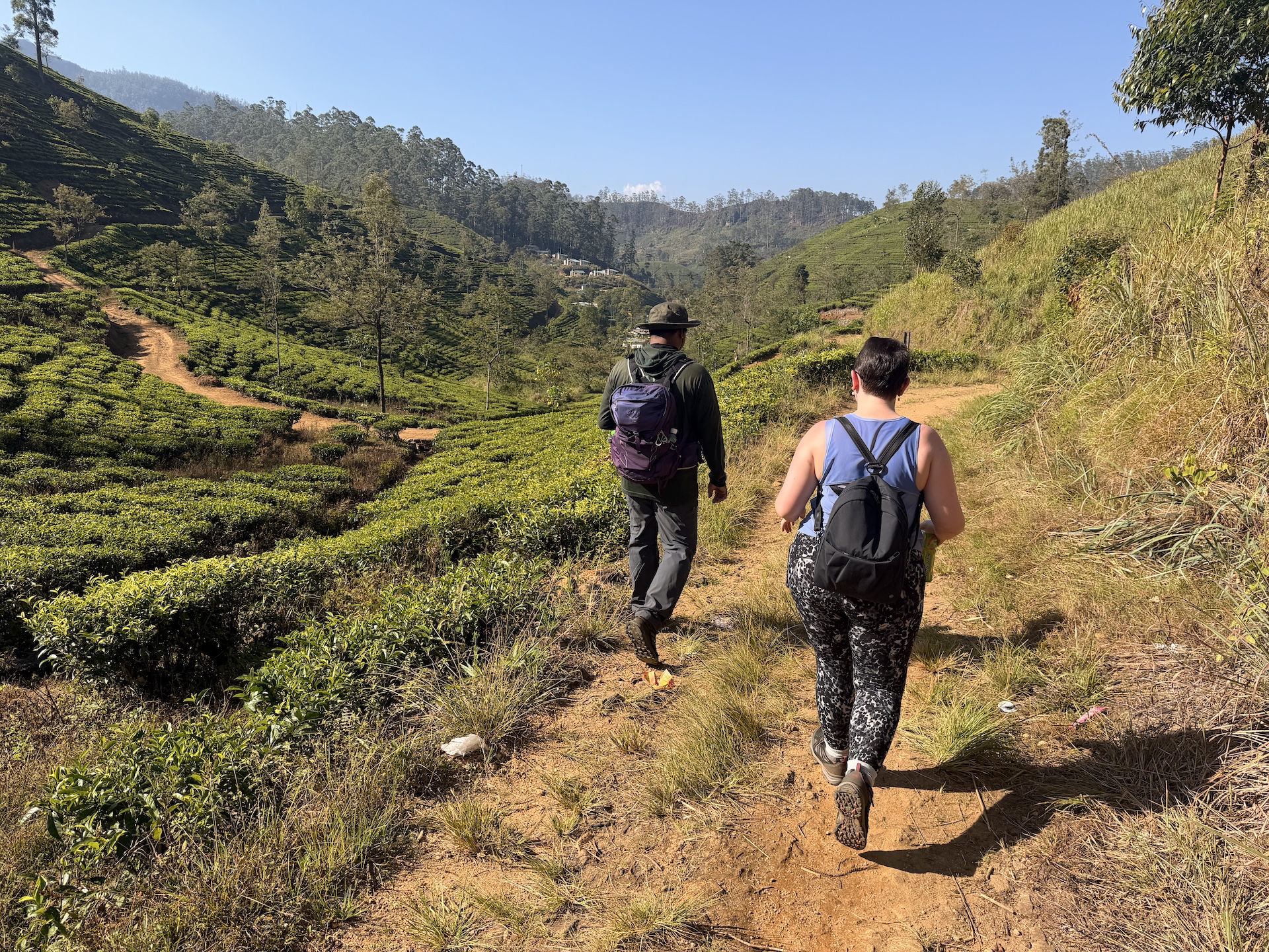 Two walkers following a narrow path through green tea plantations in Sri Lanka's hill country.