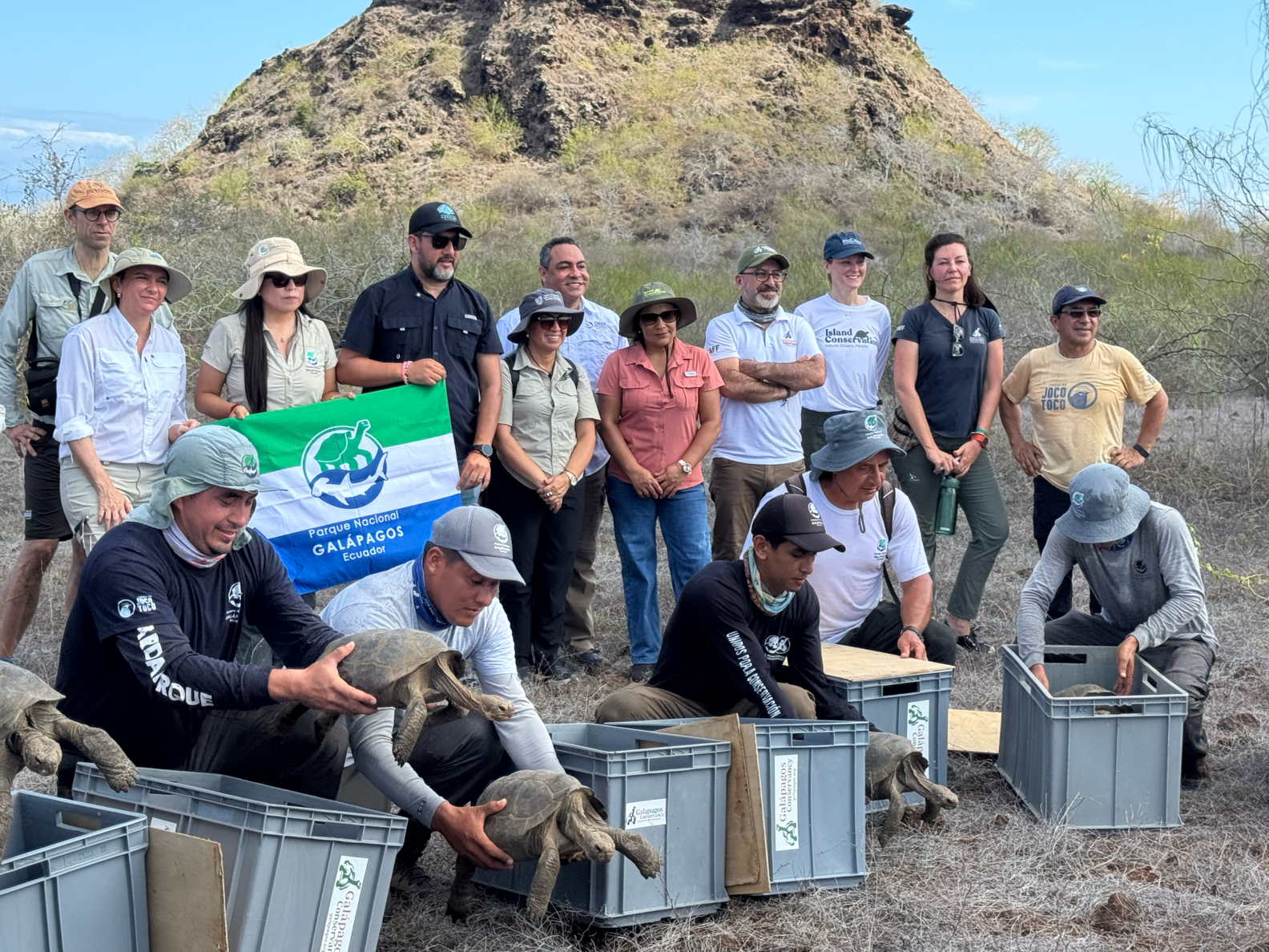 Conservation team preparing giant tortoises for release on Floreana Island in the Galápagos.